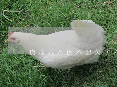 贷款六万还不起(欠了六万的贷款怎么办)