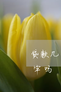 贷款几千块逾期会坐牢吗(银行贷款逾期会坐牢吗)