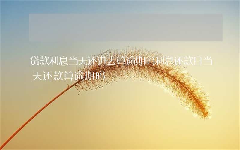 贷款利息当天还进去算逾期吗(利息还款日当天还款算逾期吗)