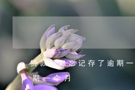 贷款利息忘记存了逾期一天（房贷忘记存钱逾期一个月）
