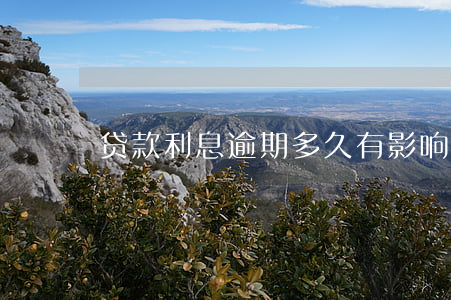 贷款利息逾期多久有影响(逾期会有利息吗)