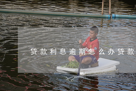 贷款利息逾期怎么办（贷款利息逾期怎么补上）