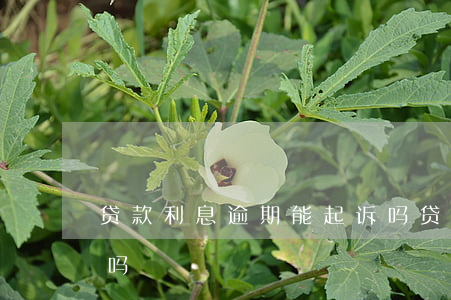 贷款利息逾期能起诉吗(贷款利息逾期能起诉吗)