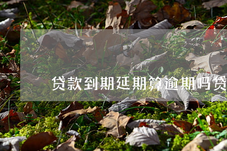 贷款到期延期算逾期吗(贷款可以逾期多久)