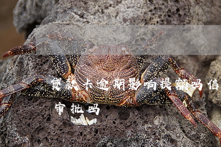 贷款卡逾期影响提额吗(信用卡降额影响贷款审批吗)