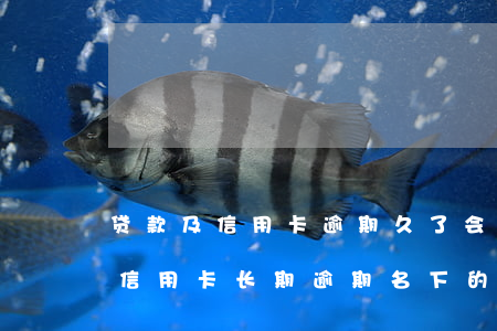 贷款及信用卡逾期久了会冻结名下所有卡吗（信用卡长期逾期名下的卡被冻结）