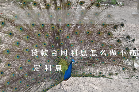 贷款合同利息怎么做不违法(借贷合同没有约定利息)