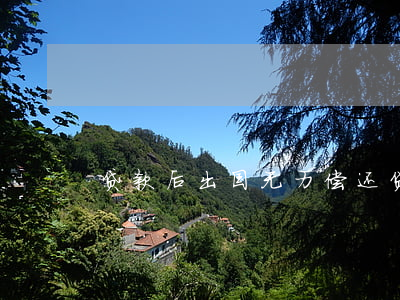 贷款后出国无力偿还(贷款后出国不还)