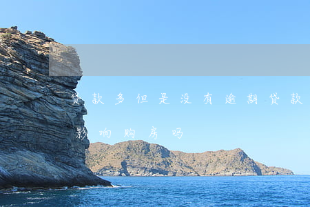 贷款多但是没有逾期(贷款多但是没有逾期会影响购房吗)