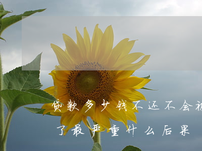 贷款多少钱不还不会被起诉(贷款不还被起诉了最严重什么后果)
