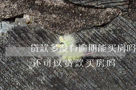 贷款多没有逾期能买房吗(负债较高,没有逾期,还可以贷款买房吗)