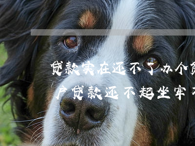 贷款实在还不了,办个贫困户能免了吗-贫困户贷款还不起坐牢不