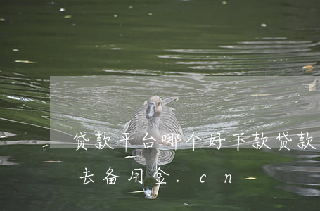 贷款平台哪个好下款(贷款平台哪个好下款就去备用金.c n)