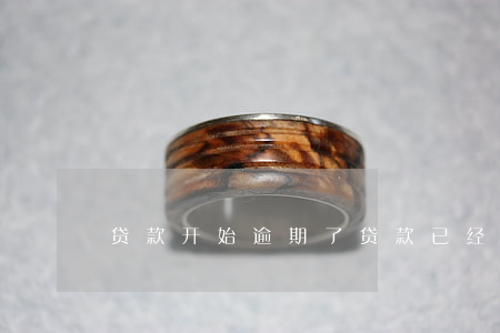 贷款开始逾期了 贷款已经逾期
