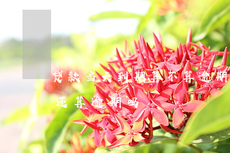 贷款当天到期算不算逾期(贷款到期日第二天还算逾期吗)