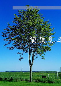 贷款息逾期，贷款逾期一天影响吗