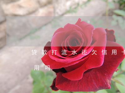 贷款打流水还欠信用卡(银行流水对信用卡有用吗)