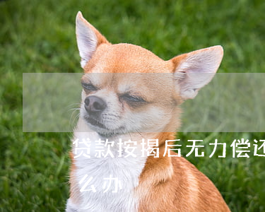 贷款按揭后无力偿还(按揭贷款没能力还了怎么办)