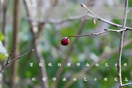 贷款收到律师函但无力偿还怎么办-贷款收到律师函但无力偿还怎么办呢