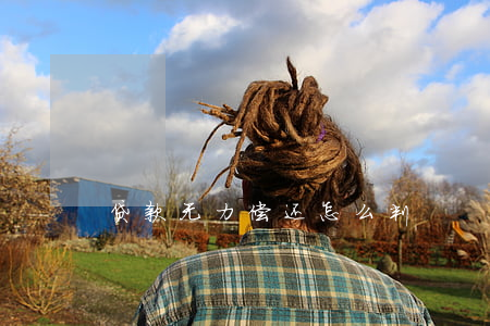 贷款无力偿还怎么判