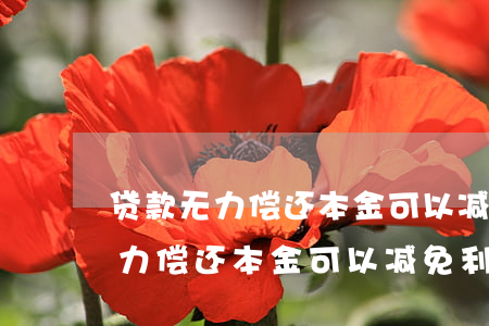 贷款无力偿还本金可以减免利息吗-贷款无力偿还本金可以减免利息吗合法吗