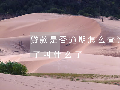 贷款是否逾期怎么查询(怎么查逾期的贷款,忘了叫什么了)