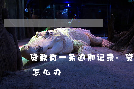 贷款有一条逾期记录-贷款有一条逾期记录怎么办