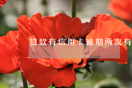 贷款有信用卡逾期两次(有一次信用卡逾期)