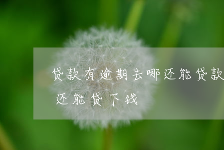贷款有逾期去哪还能贷款(什么都逾期了,在哪还能贷下钱)