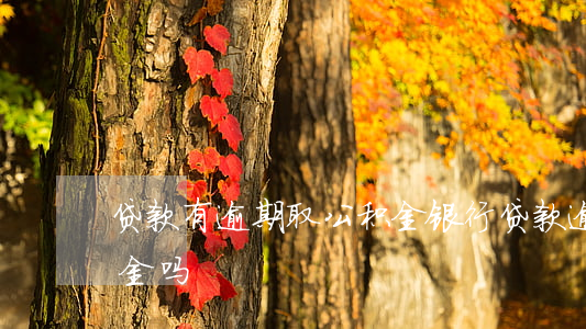 贷款有逾期取公积金(银行贷款逾期能提公积金吗)