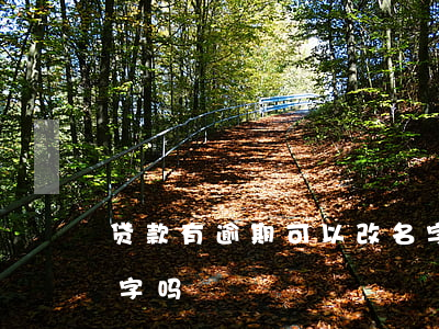 贷款有逾期可以改名字吗(网贷逾期可以改名字吗)