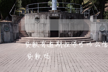 贷款有逾期担保可以么(信用卡有逾期能担保贷款吗)