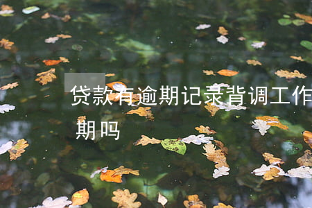 贷款有逾期记录背调(工作背调会查到网贷逾期吗)