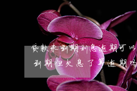 贷款未到期利息逾期可以不良出表-贷款未到期但欠息了算逾期吗