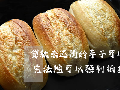 贷款未还清的车子可以法院拍卖吗(车贷没还完法院可以强制拍卖吗)