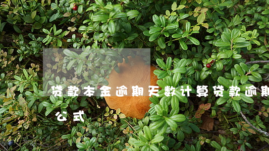 贷款本金逾期天数计算(贷款逾期天数的计算公式)