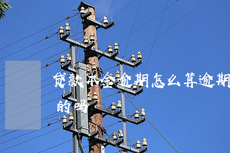 贷款本金逾期怎么算(逾期利息是按本金计算的吗)
