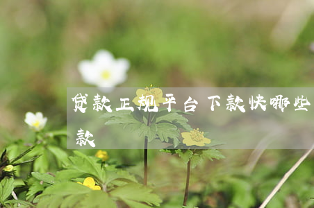 贷款正规平台下款快(哪些正规贷款平台好下款)