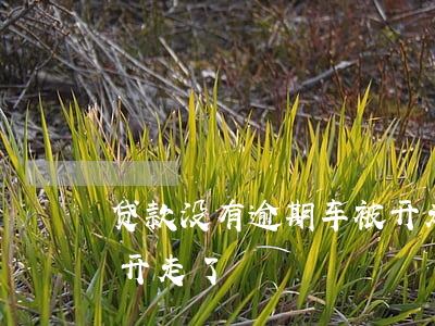 贷款没有逾期车被开走(贷款买车逾期了车被开走了)