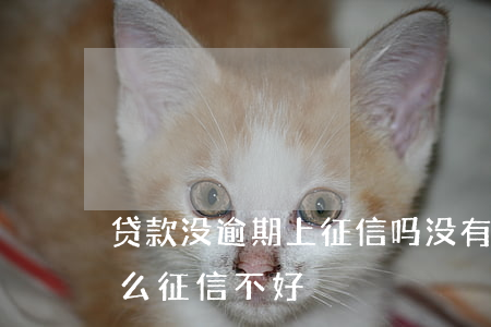 贷款没逾期上征信吗(没有逾期没有贷款为什么征信不好)