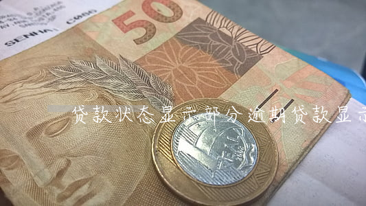 贷款状态显示部分逾期(贷款显示当前逾期)