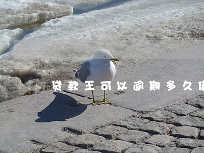 贷款王可以逾期多久(借款大王逾期一年了)
