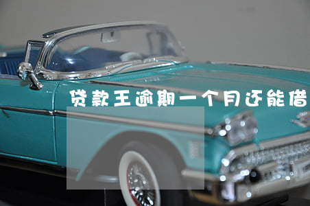 贷款王逾期一个月还能(借款大王逾期一年了)