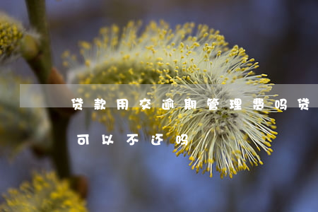 贷款用交逾期管理费吗(贷款逾期产生的费用可以不还吗)