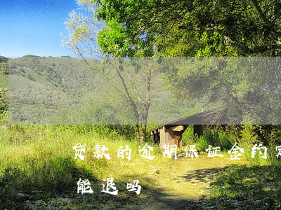 贷款的逾期保证金约定(贷款多次逾期保证金能退吗)