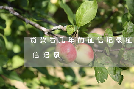 贷款看几年的征信记录(征信贷款看几年的征信记录)