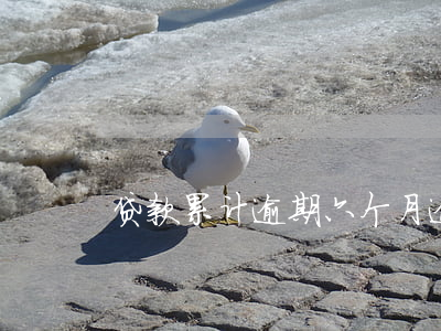 贷款累计逾期六个月(逾期6个月)