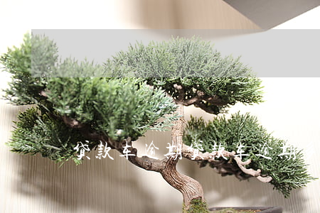 贷款车逾期,贷款车逾期多久收车 贷款车逾期,贷款车逾期多久收车