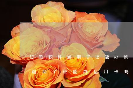 贷款软件逾期了还能办信用卡吗-贷款软件逾期了还能办信用卡吗安全吗