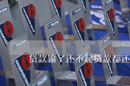 贷款输了还不起(贷款都还不起)